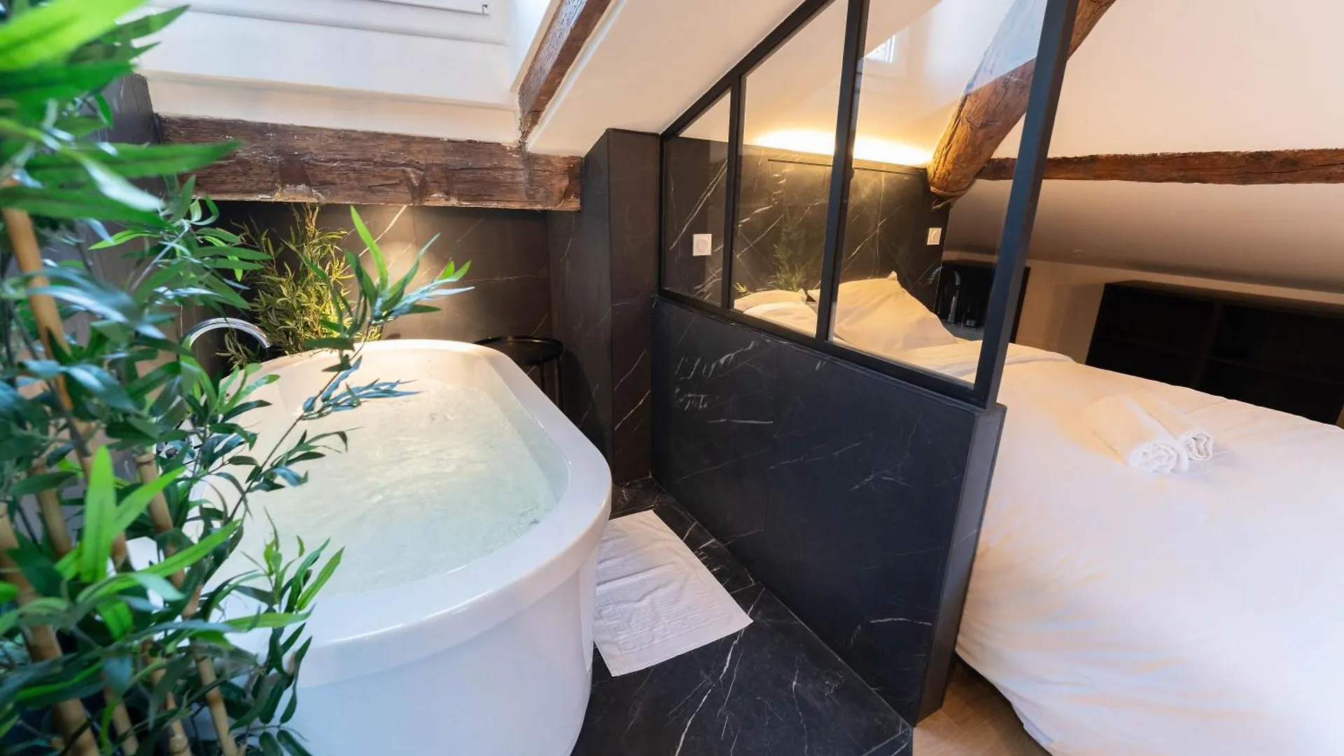 Apartment Superbe Loft - Vieux Nice - Balneo France
